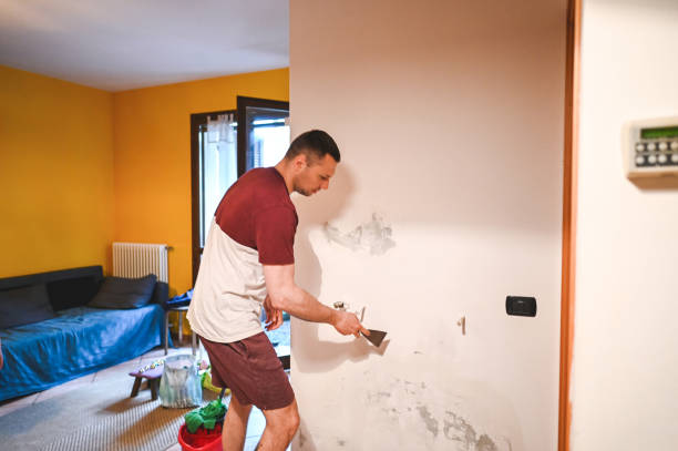 Best Attic Mold Removal  in River Road, OR